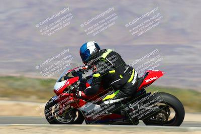 media/Feb-12-2022-SoCal Trackdays (Sat) [[3b21b94a56]]/Turn 12 Inside Speed Shots (11am)/